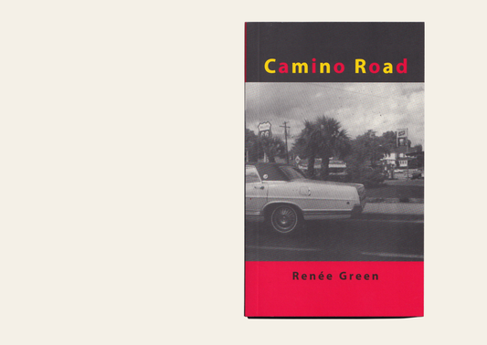 Camino Road - Renée Green