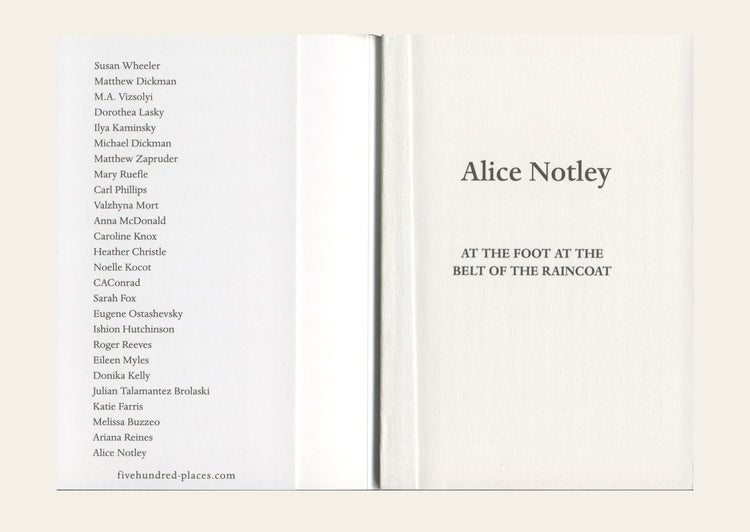 At the Foot At the Belt of the Raincoat - Alice Notley