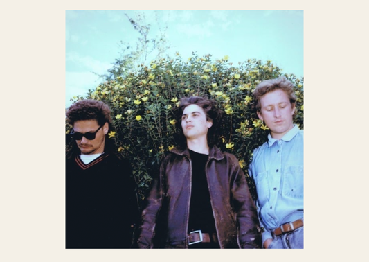 Stephen: Radar of Small Dogs LP